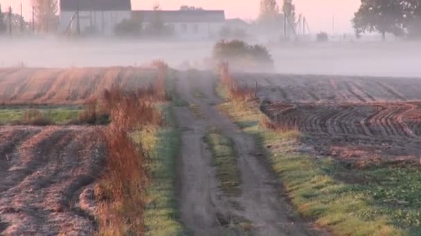 Morgon landsbygden gård fältet och väg i frost rimfrost och dimma — Stockvideo