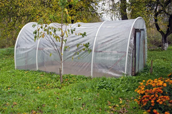 Plast växthus drivhus i höst farm trädgård — Stockfoto