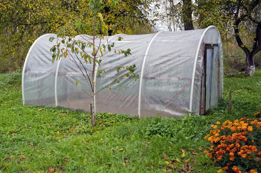 Plast växthus drivhus i höst farm trädgård — Stockfotografi © alisbalb2