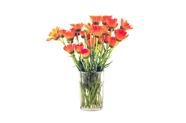 Marigold medical calendula flowers bouquet  in glass — Stock Photo, Image