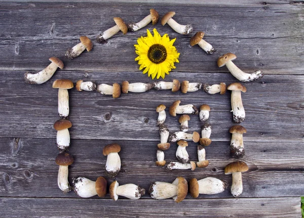 Mushrom boletus house symbol concept with sunflower — Stock Photo, Image