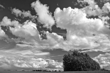 bulutlar, B&W resim, tarım yatay yaz