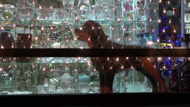 Kerstmis-Nieuwjaar etalage met lichte decoratie en hond beeldhouwkunst — Stockvideo