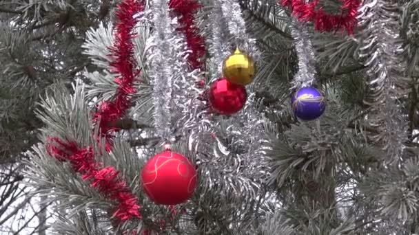 Winter hoarfrost and Christmas New Year toys on pine tree branch — Stock Video