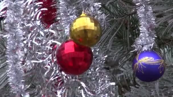 Hoarfrost y Navidad juguetes de Año Nuevo en la rama de pino — Vídeo de stock