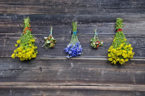 Fragola selvatica e mazzi di erbe mediche su vecchia parete di legno — Foto Stock