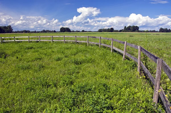 Jordbruksmark landskap med trästaket — Stockfoto