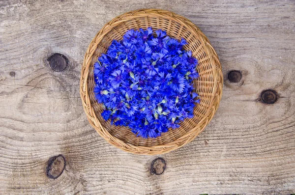 Borrão flores de cornflower médicas frescas na placa de vime — Fotografia de Stock