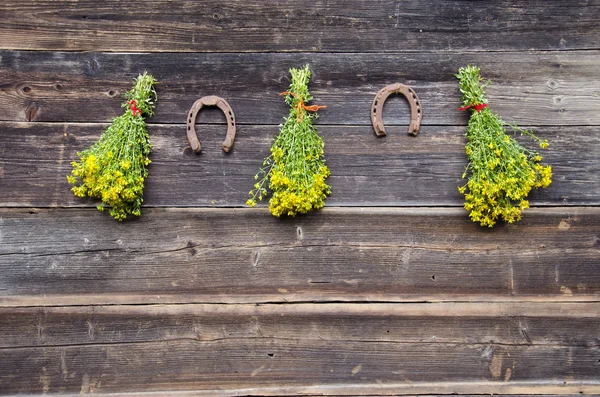 Medische St. johns wort bloemen bos en twee roestig hoefijzer op muur — Stockfoto