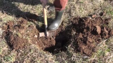 Bahçıvan kazma delik çukur elma ağacı bahar için