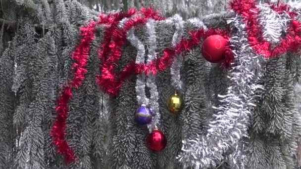 Hoarfrost y Navidad juguetes de Año Nuevo en rama de abeto — Vídeo de stock