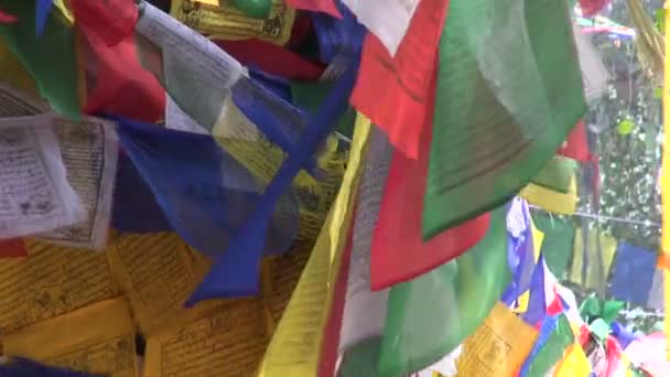 Beaux drapeaux de prière bouddhistes sur l'arbre à Lumbini, Népal — Video