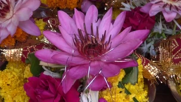 Hinduísmo ritual religião lótus e outras flores na placa, mercado de Mumbai — Vídeo de Stock