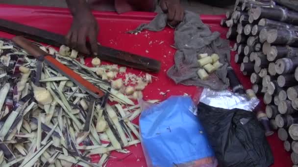 Pezzi di canna da zucchero freschi sul mercato, India — Video Stock