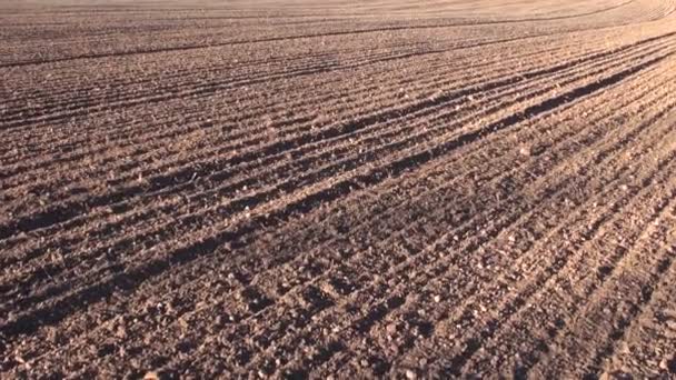 Plowed cultivated  farmland field soil — Stock Video