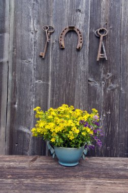  St Johns wort tıbbi çiçek vazo ve antika at nalı ile anahtar