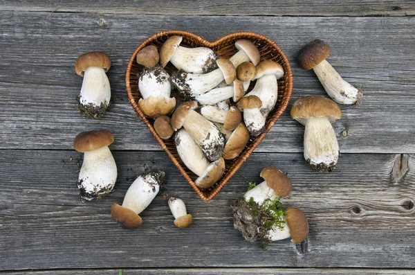Edible mushroom fungi boletus on old wooden table — Stock Photo, Image