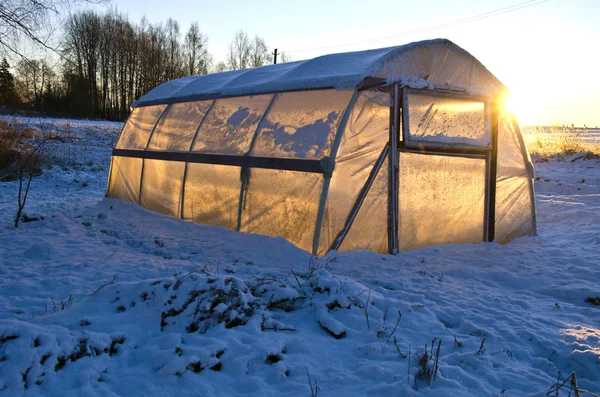 Gewächshaus-Treibhaus auf dem Feld bei Schnee und Wintersonnenaufgang — Stockfoto