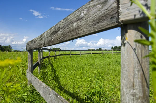 Cerca de madera vieja en prado verde agradable del pasto del verano — Foto de Stock