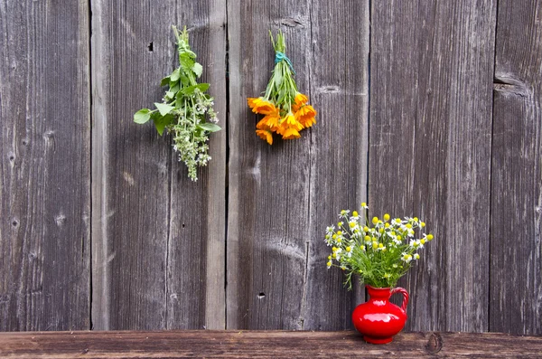 Fresh medical herbs bunch on wall and red vase with chamomile — Stock Photo, Image