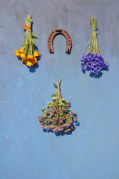 Hestesko og medisinske blomster urter bunt på veggen – stockfoto