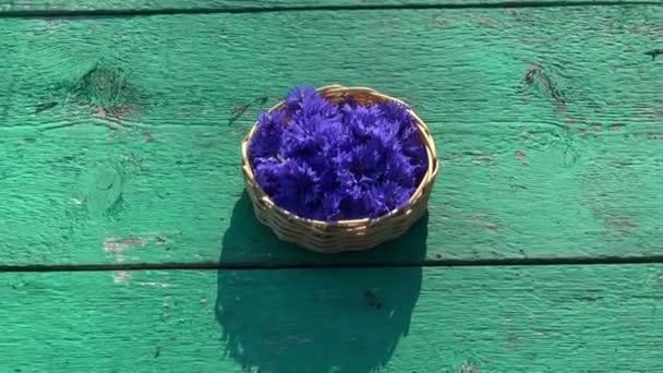 Flores de cornflower médicas frescas na cesta na velha mesa — Vídeo de Stock