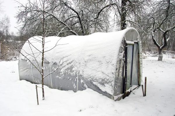 真冬の庭で雪に覆われたプラスチック温室効果温室 — ストック写真