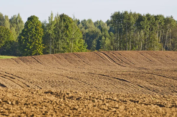 Plowed autumn time agriculture farm field — Stock Photo, Image