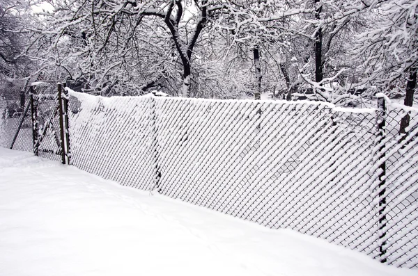 Metalowe ogrodzenie, śnieg i szron — Zdjęcie stockowe
