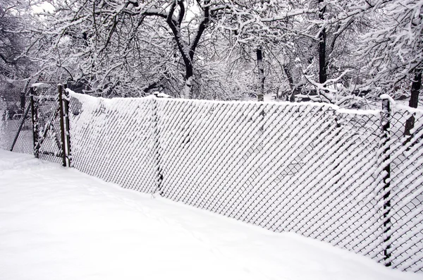 Recinzione in metallo con neve e gelo — Foto Stock