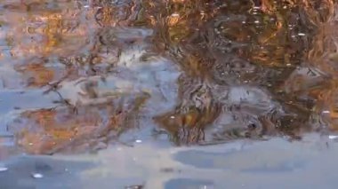 Soyut doğa arka plan - Nehri üzerinde sonbahar yansımalar