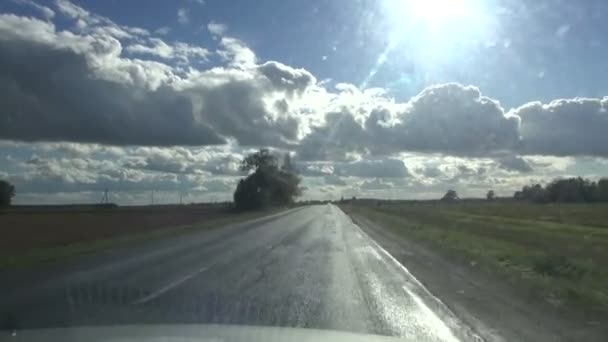 Camino de asfalto húmedo y ventana del coche después de la lluvia — Vídeo de stock