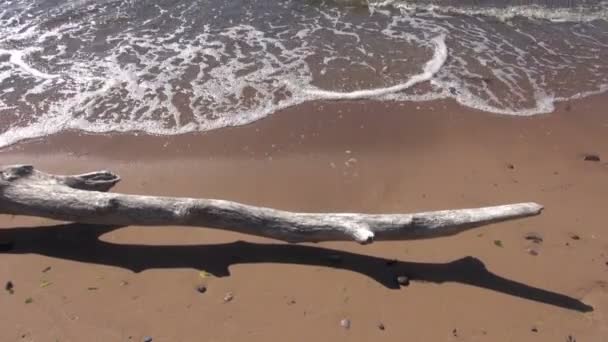 Océano mar olas en la playa arena — Vídeos de Stock