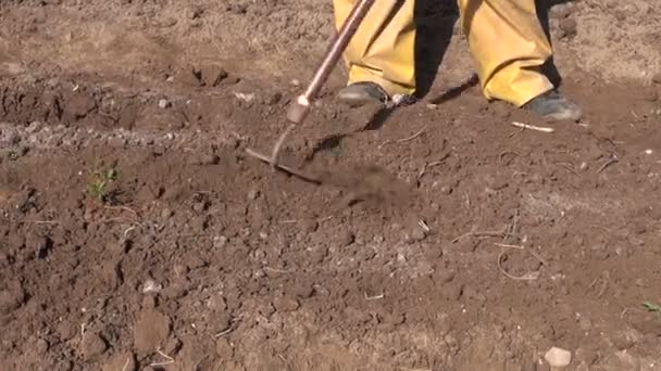 Werken in voorjaar tijd boerderij met tuin tool — Stockvideo