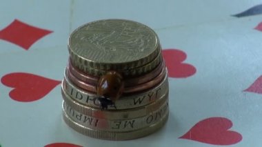 Şans sembolü ladybird uğur böceği para metal paralar ve iskambil