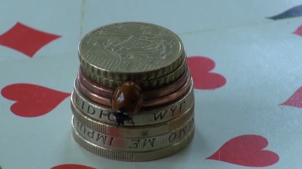 Geluk symbool ladybird ladybug op geld metalen munten en speelkaarten — Stockvideo