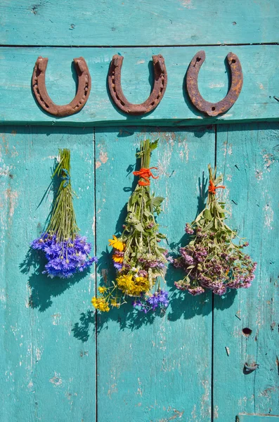 Rusty horseshoe and herbal medicine plants bunch on wall — Stock Photo, Image