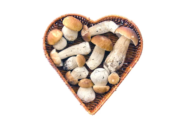 Grzyb grzybów cep Borowik w wiklinowym koszu — Zdjęcie stockowe
