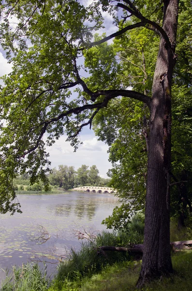 Paysage historique de parc de manoir avec étang et vieux pont — Photo