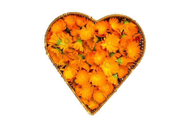 Panier en osier forme coeur avec calendula souci fleurs médicales — Photo