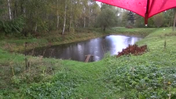 Summer pond in farm and red umbrella with water drops — Stock Video