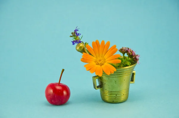 Medical flowers, red apple and vintage brass mortar — Stock Photo, Image