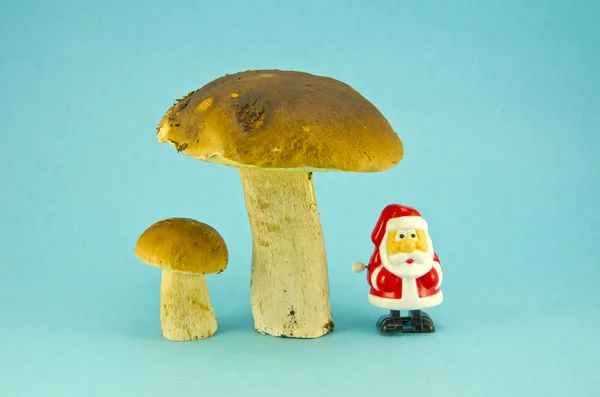 Świeże grzyby cep Borowik i małe zabawki Santa claus retro — Zdjęcie stockowe