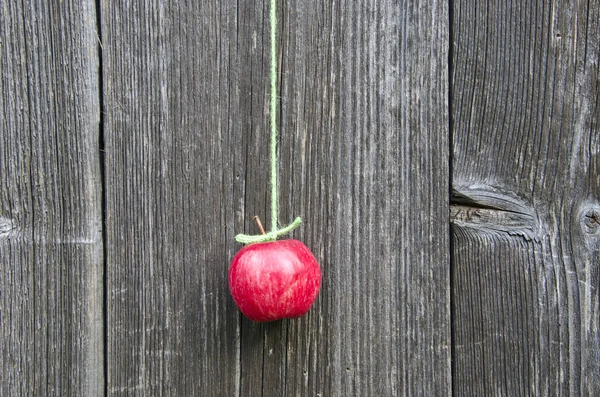 Pendurar maçã fresca vermelha na corda verde na parede de madeira — Fotografia de Stock