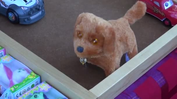 Hermoso juguete de peluche cachorro en el mercado — Vídeos de Stock