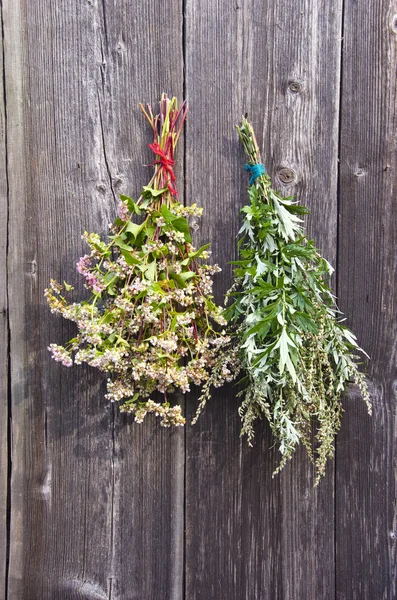 Trigo sarraceno y mugwort médica Artemisia vulgaris manojo en la pared vieja — Foto de Stock