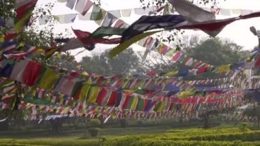 Budist dua bayrakları Lord Buda'nın doğum yeri: Lumbini, Nepal