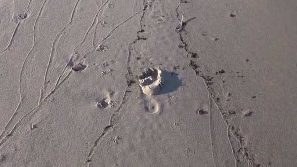 Empreinte dans le sable sur la plage station balnéaire 