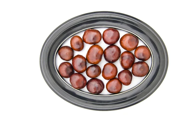 Conker gyümölcsök magok chesnuts az elszigetelt ovális képkeret — Stock Fotó