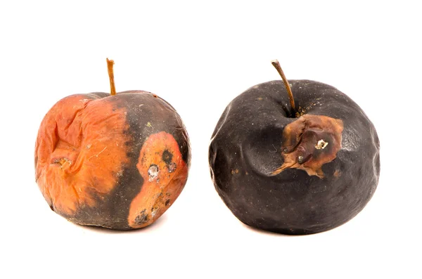 Two rotten apples isolated on the white background — Stock Photo, Image